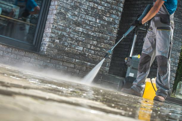 Best Fleet Vehicle Washing  in Brunswick, NC